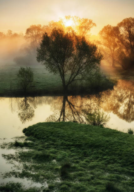 nebbia di mattina - tranquil scene colors flowing water relaxation foto e immagini stock