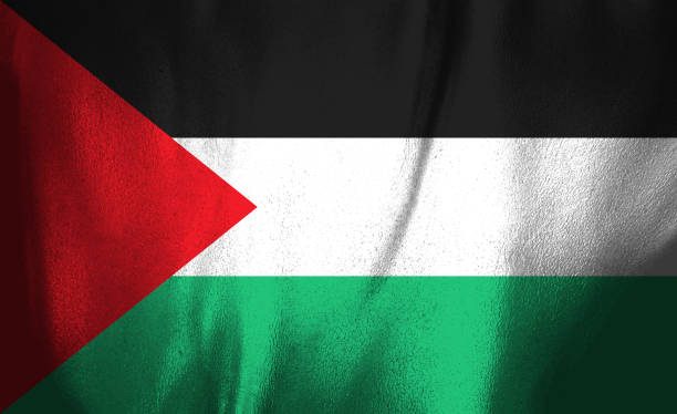 istock Flag of Palestine 647484074