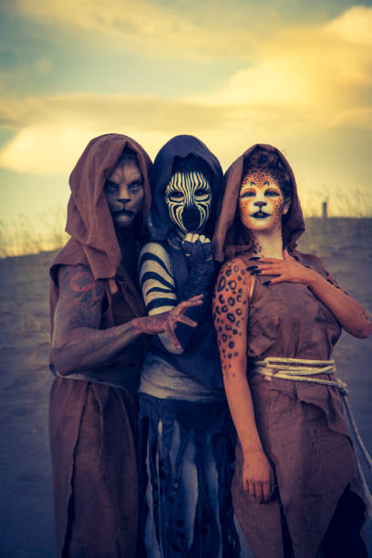 istock Anthropomorphic Lion and Cheetah Actors In The Desert 647494508