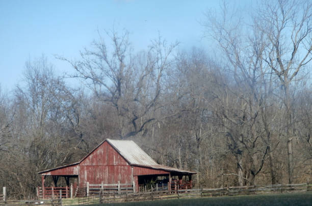 istock Barns of Tennessee 647497908