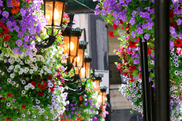 Dublin Street, Ireland