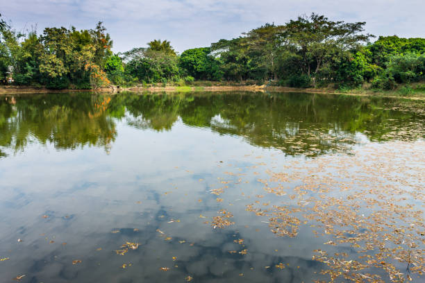 istock Reserved water at community pond 647506750