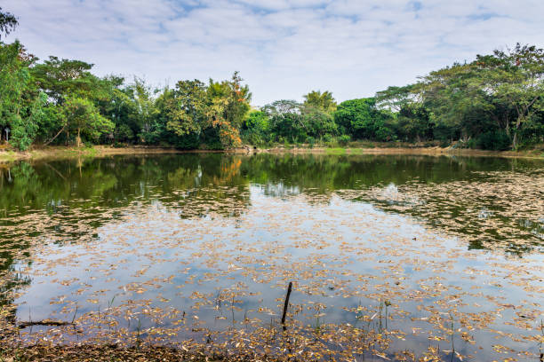 istock Reserved water at community pond 647506760