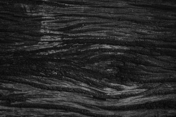 istock Wood Dark background texture. Blank for design 647507498
