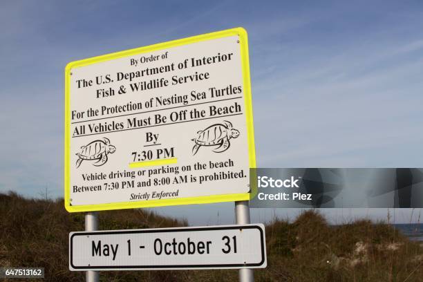 Beach Insect Sign Beach Warning Sign Stock Photo - Download Image Now - Animal Wildlife ...