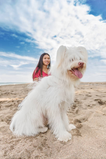 Young beautiful asian woman walking with dog near sea