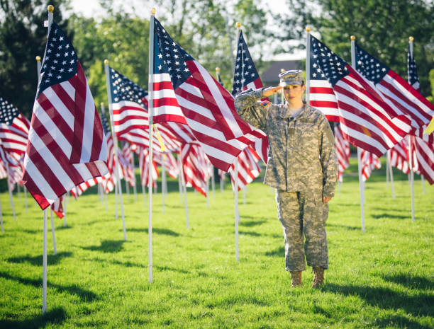 soldado americano feminino, saudando em um campo de bandeiras americanas - armed forces latin american and hispanic ethnicity saluting marines - fotografias e filmes do acervo