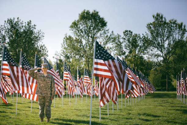 soldado americano feminino, saudando em um campo de bandeiras americanas - armed forces latin american and hispanic ethnicity saluting marines - fotografias e filmes do acervo