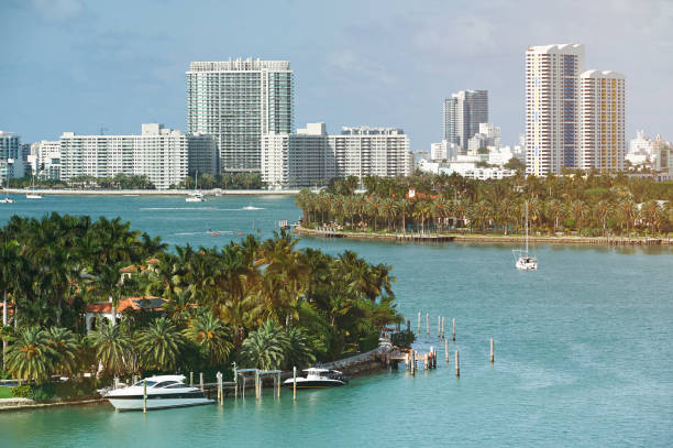 istock Skyline of Miami city 647529262