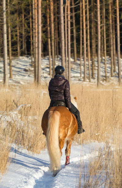 istock Woman horseback riding 647545192