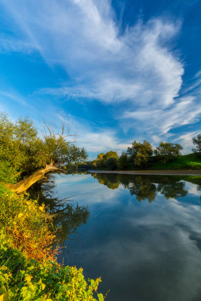istock Scenery of wild river with sunset cloudy sky reflection 647545566