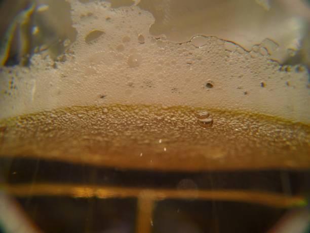 istock Up Close Glass of Beer with Head 647548630