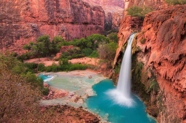 Havasu Falls in the Grand Canyon Beautiful waterfall in the Grand Canyon, Arizona havasu creek stock pictures, royalty-free photos & images