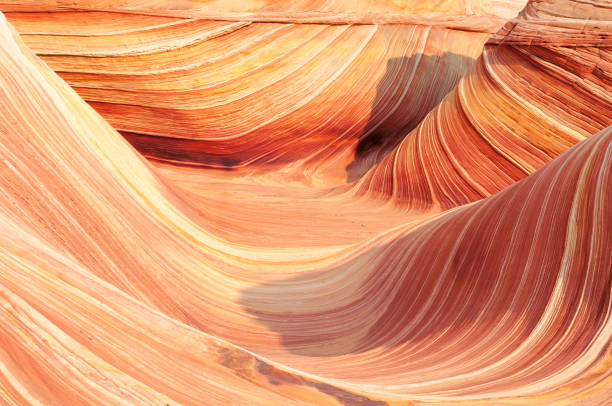 istock The Wave at North Coyote Buttes 647548638