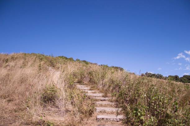 istock Walkway on hill at the mountain 647548820