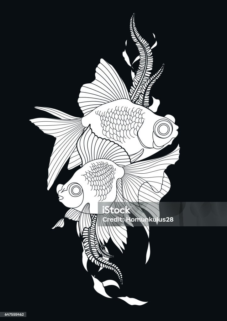 Graphic telescope fish Graphic couple of telescope fish. Vector freshwater creature isolated on black background. Coloring book page design for adults and kids Coloring Book Page - Illlustration Technique stock illustration
