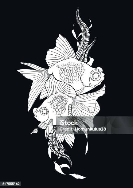 Graphic Telescope Fish Stock Illustration - Download Image Now - Coloring Book Page - Illlustration Technique, Sea Life, Adult