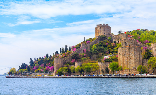 When spring comes Istanbul's redbuds burst into bloom in Turkey. Erguvan, judas tree or eastern redbud belongs to Istanbul as to no other city in the world.