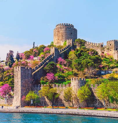 When spring comes Istanbul's redbuds burst into bloom in Turkey. Erguvan, judas tree or eastern redbud belongs to Istanbul as to no other city in the world.