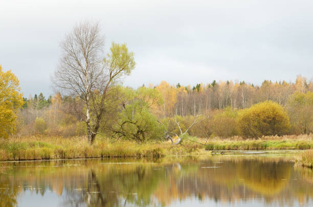istock The natural landscape in autumn. 647564002