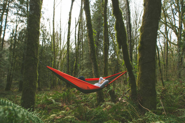 istock Young woman in hammock in forest 647566590