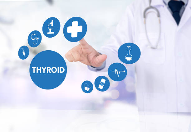 ilustrações de stock, clip art, desenhos animados e ícones de thyroid gland and trachea scheme shown - ultrasound cancer healthcare and medicine thyroid gland