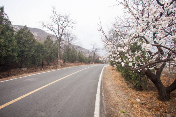 a estrada áspera da montanha é encoberta no embaçamento em beijing, china - 3109 - fotografias e filmes do acervo