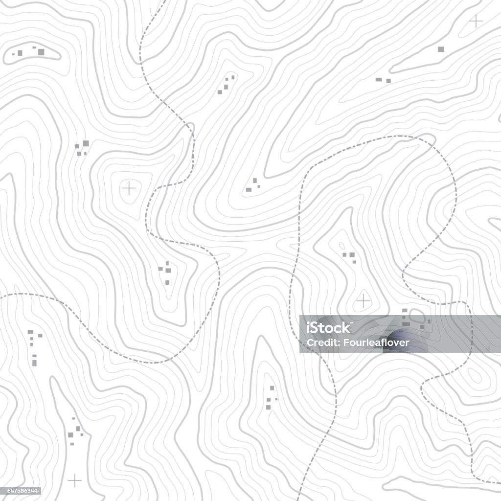 Topographic Map Texture Topographic map texture of an imaginary land. Vector files are fully layered. Topographic Map stock vector