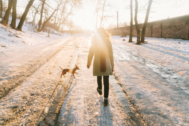 frau zu fuß im park mit hund im winter - snow walking stock-fotos und bilder