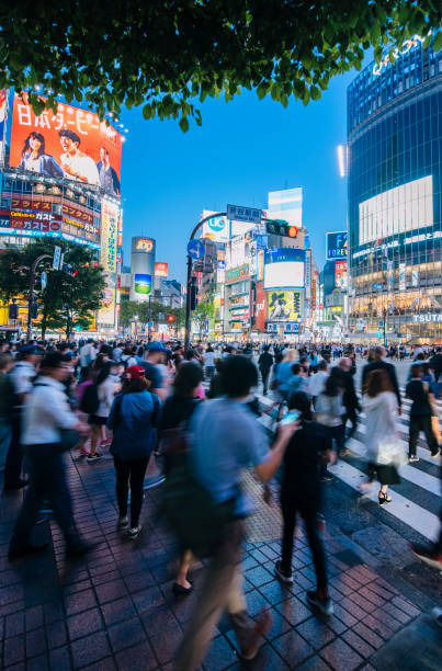 istock Shibuya Crossing, Tokyo at dusk 647593030