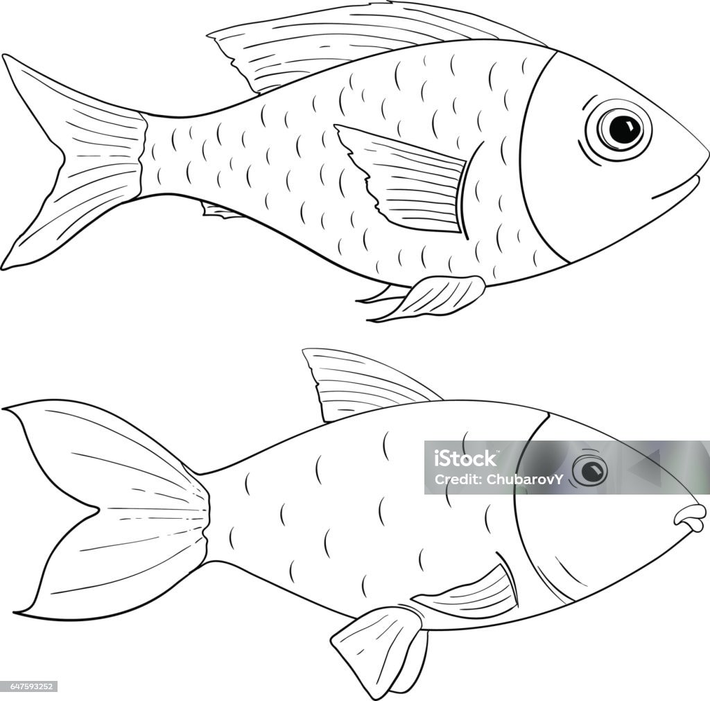 Fish Outline Drawing Stock Illustration - Download Image Now ...