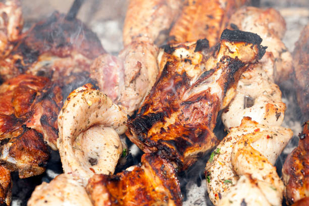 istock skewers of meat, close-up 647600378