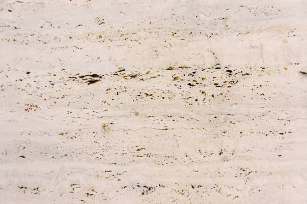 istock Background of Coquina 647600752