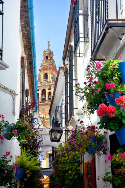 istock Lane of flowers, Cordoba 647606972