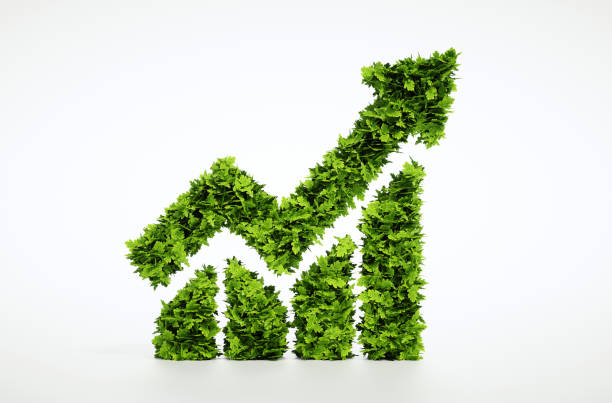 istock 3d rendering of green line chart isolated on white background. 647607298
