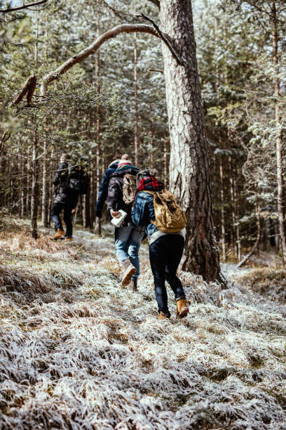 istock Cold swept grass, hikers in the snowy mountains 647611092