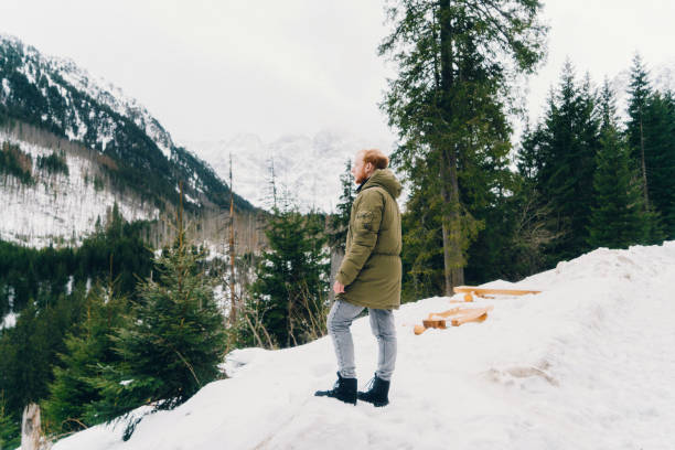 istock Man walking in the forest in Tatry mountains in winter 647611636