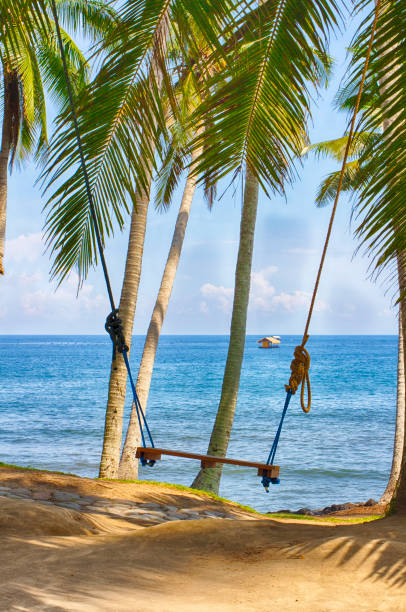 istock Romantic swing on the shore of the Indian Ocean. Wedding attribute. 647614176