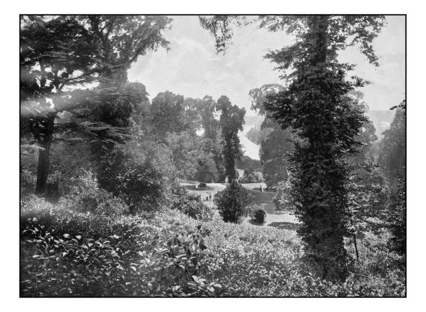 istock Antique London's photographs: View from Terrace Gardens, Richmond 647625798