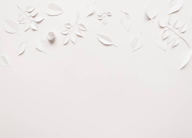 istock Paper flowers on the white background 647626120