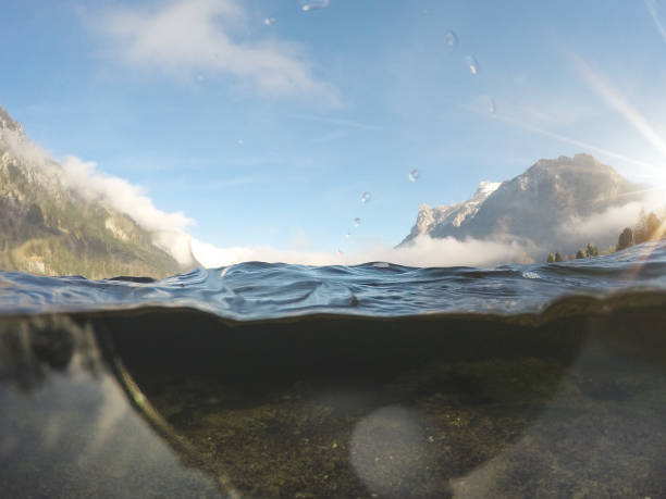 Photographed with an underwater camera in a dome. The photo is divided with water and showing underwater and above water at the same time. Lake is Traunsee in upper Austria