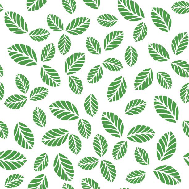 stockillustraties, clipart, cartoons en iconen met naadloze patroon met groen blad - lipbloemenfamilie illustraties