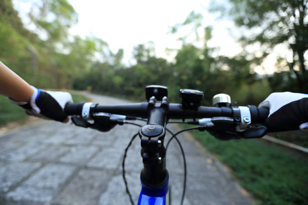 istock riding mountain bike on forest trail 647630940