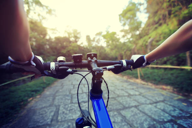 istock riding mountain bike on forest trail 647630948