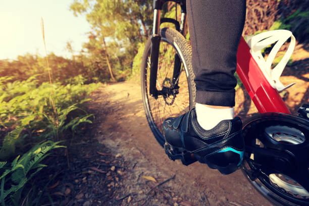 istock riding mountain bike on forest trial 647630950