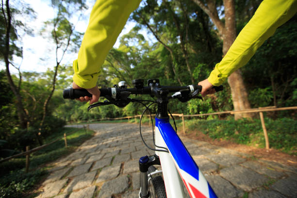 istock hands riding mountain bike on forest trail 647631652