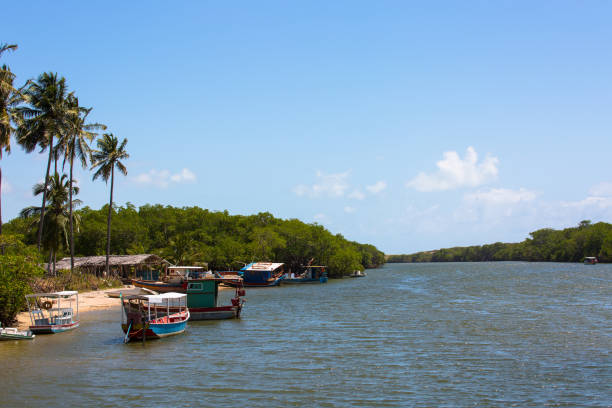 istock Marape Dunes, Alagoas State, Brazil 647638152