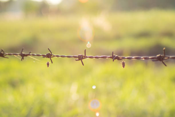 closeup barbed wire with sunlight on nature background