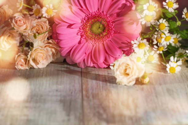 fiori per la festa della mamma - textraum foto e immagini stock