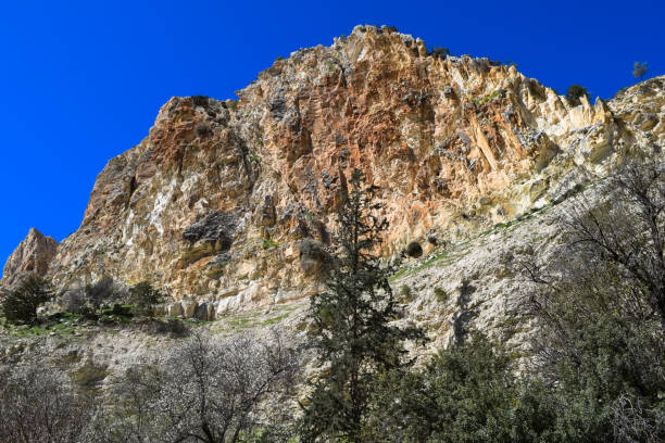 istock Avakas Gorge. Wild authentic nature of Cyprus island 647649628